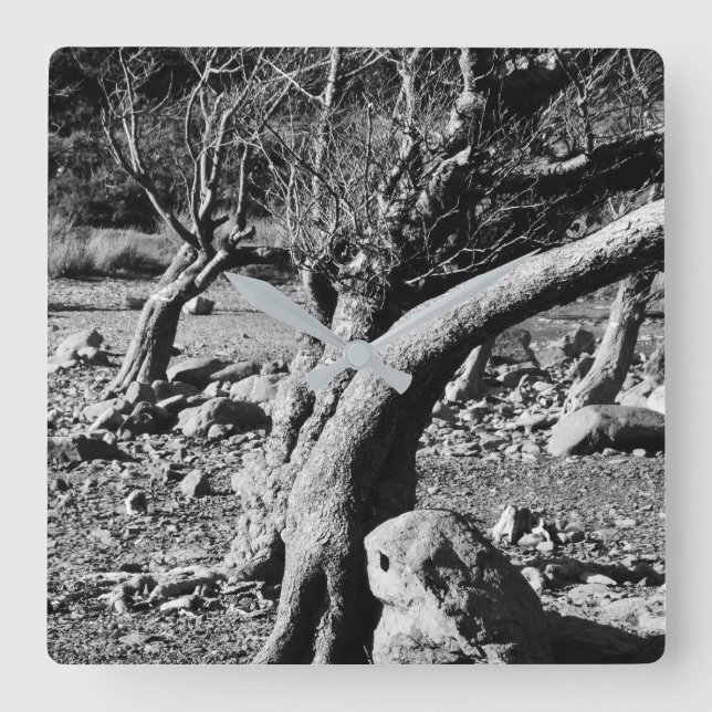 RELÓGIO QUADRADO ÁRVORES PRETAS E BRANCAS (Frente)