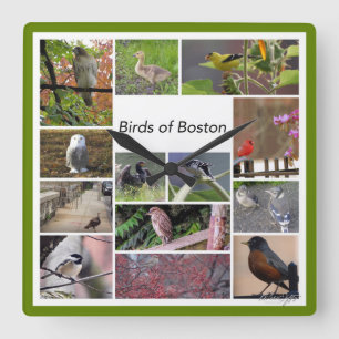 Relógio Quadrado Aves da Colagem de Fotos de Boston