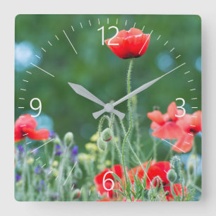 Relógio Quadrado Aves selvagens