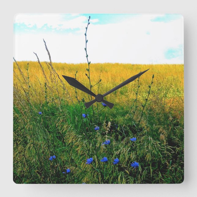 Relógio Quadrado Azul de Bella - chicória (Frente)