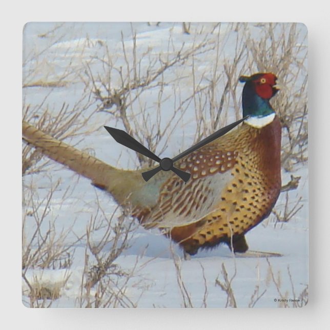Relógio Quadrado B22 Faisão com pescoço em anel na neve (Frente)