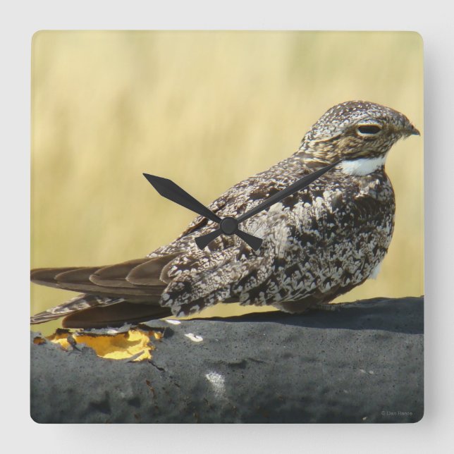 RELÓGIO QUADRADO B29 (Frente)