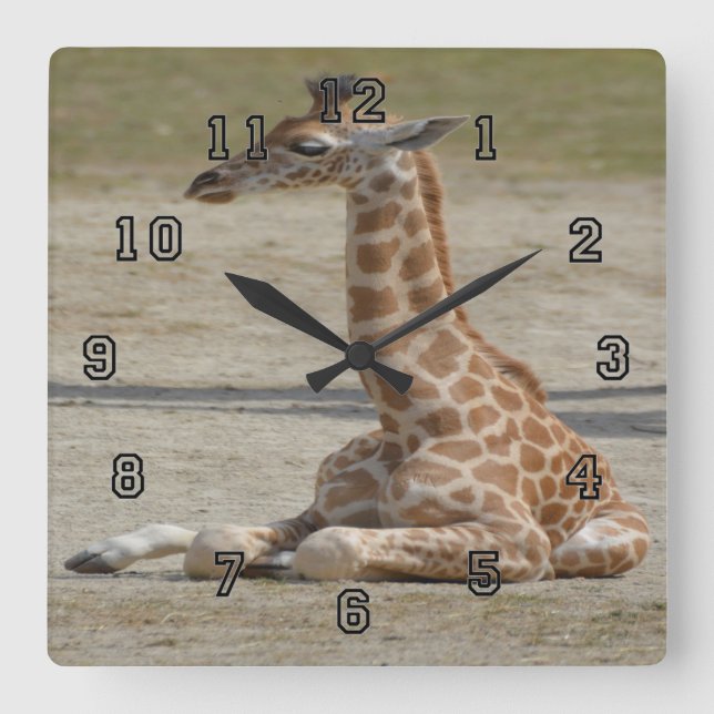 Relógio Quadrado Baby Giraffe (Frente)