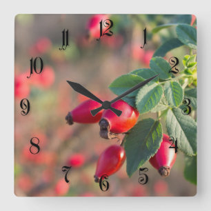 Relógio Quadrado Bagas cor-de-rosa selvagens