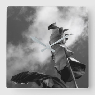 Relógio Quadrado Banana Árvore Preta e Branca