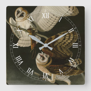 Relógio Quadrado Barn Owl (Tyto alba) Audubon's Birds of America