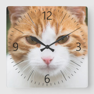 Relógio Quadrado Beautiful red cat