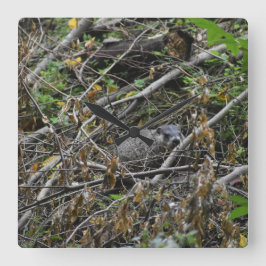 Relógio Quadrado Beaver Ocupado