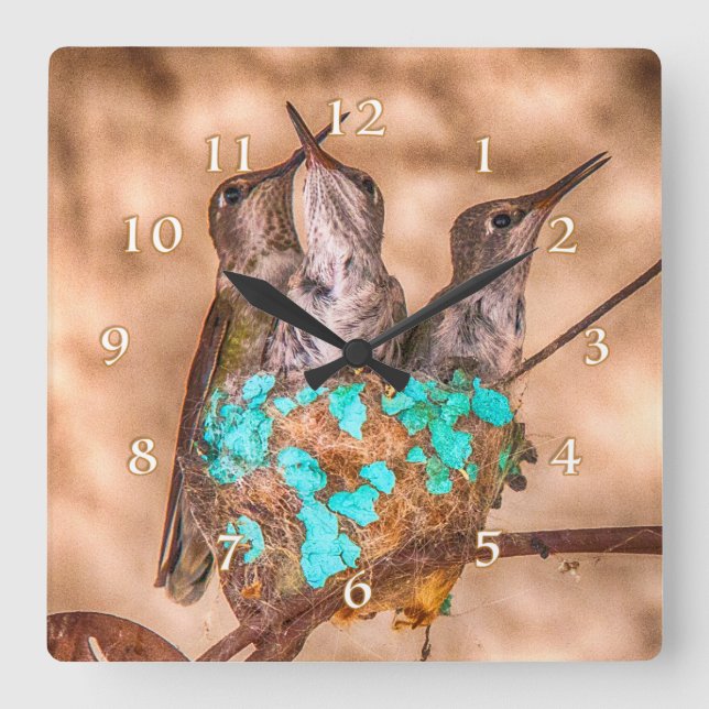 RELÓGIO QUADRADO BEBÊS DE HUMMINGBIRD QUE ESCUTAM (Frente)