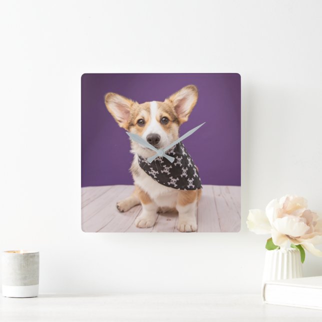 Relógio Quadrado Bebês Mais Pobres | Corgi Puppy Skull Bandana (Lar)