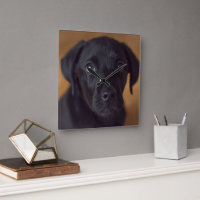 Bebês Mais Pobres | Labrador Preto