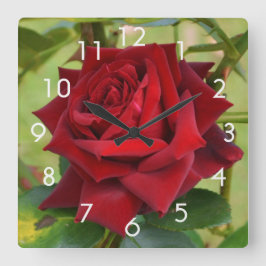 Relógio Quadrado Bela Rosa vermelha Wall Clock