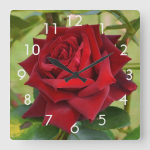 Relógio Quadrado Bela Rosa vermelha Wall Clock
