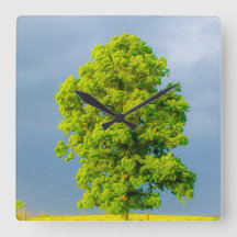 Beleza na Tempestade