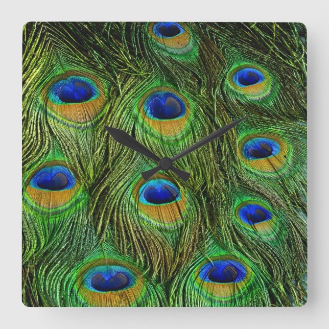 Relógio Quadrado Belo Penas de Peacock (Frente)