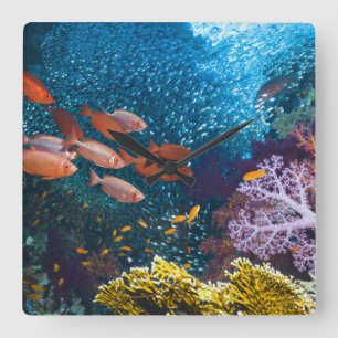 Relógio Quadrado Bigeye ou Óculos de proteção-Olho do cenário  