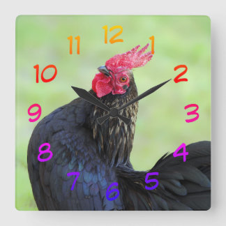 Relógio Quadrado Black Rooster