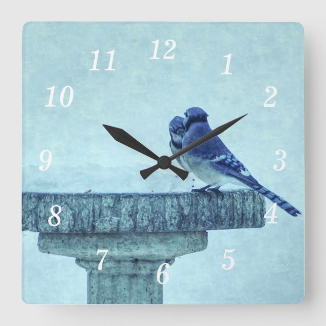 Relógio Quadrado Blue Jays Winter Feeding Painterly Wall Clock (Frente)