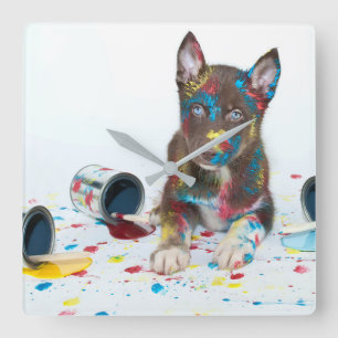 Relógio Quadrado Bobo Rouco Puppy entrou em Baldes Paint