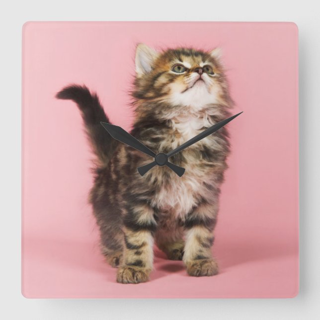 Relógio Quadrado Bonito no gatinho cor-de-rosa (Frente)
