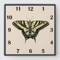 Borboleta-do-sudoeste