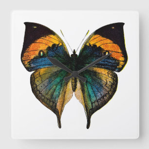 Relógio Quadrado Borboleta do vintage - 1800's Butterfies antigo