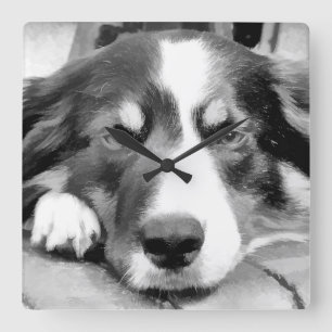 RELÓGIO QUADRADO BORDER COLLIE