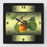 ~ botânico de Giorgio Gallesio do ~ da fruta do ~