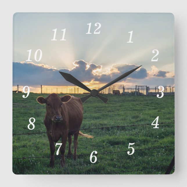 Relógio Quadrado Bovinos Fazenda Sunset Wall Clock (Frente)
