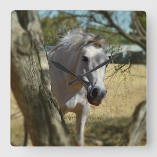 Relógio Quadrado "Branca de Neve: A Mancha majestosa"