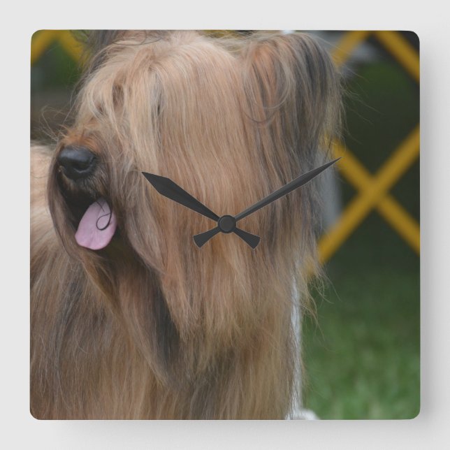 Relógio Quadrado Briard (Frente)
