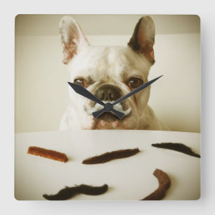 Relógio Quadrado Buldogue Francês Com bigode