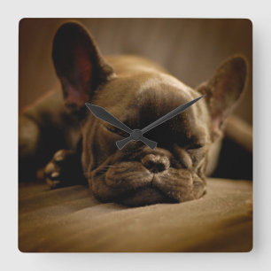 Relógio Quadrado Buldogue francês sonolento