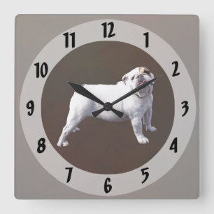 Relógio Quadrado Bulldog de Pé