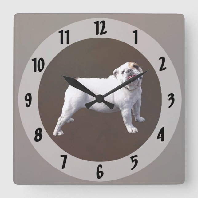 Relógio Quadrado Bulldog de Pé (Frente)