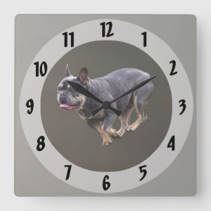 Relógio Quadrado Bulldog Francês Correndo