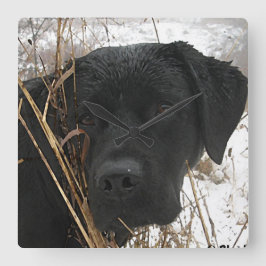 Relógio Quadrado Caça tardia da temporada - Preto Lab - Labrador