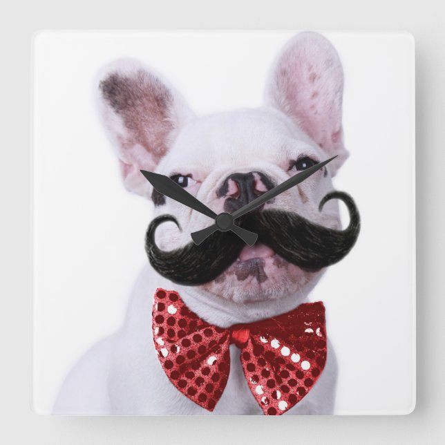 Relógio Quadrado Cachorro Touro Francês Cachorro Com bigode (Frente)