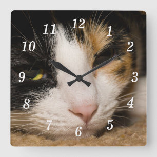 Relógio Quadrado Calico Face Wall Clock