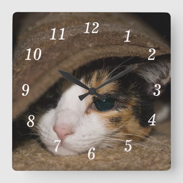 Relógio Quadrado Calico Taco Wall Clock (Frente)
