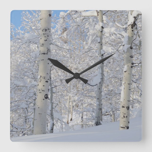 Relógio Quadrado Canetas Cobertas Por Neve, Cordilheira De Desolaçã (Frente)