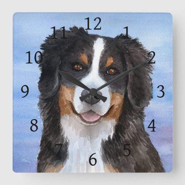 Relógio Quadrado Cão 125 Montanha Bernese (Frente)