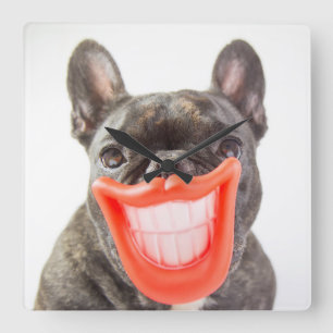 Relógio Quadrado Cão de sorriso das imagens   A de Getty