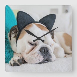 Relógio Quadrado Cão sonolento das imagens de Getty com Headband