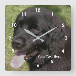 Relógio Quadrado Cara preta do cão de Terra Nova