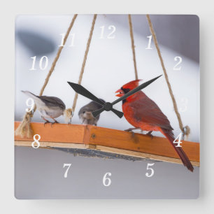 Relógio Quadrado Cardeal e Juncos Wall Clock