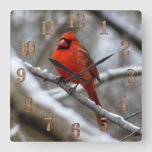 Relógio Quadrado Cardinal macho