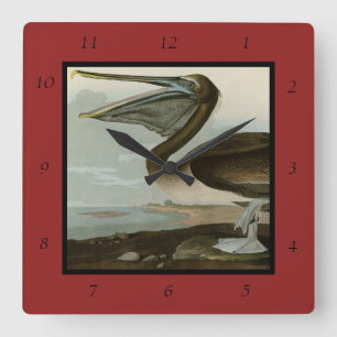 Relógio Quadrado Castanho Pelicano das Aves da América de Audubon