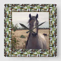 Cavalo Árabe Espetacularizado Em Fotografia De Cav