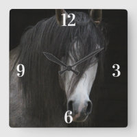 Cavalo da Bela Árabe